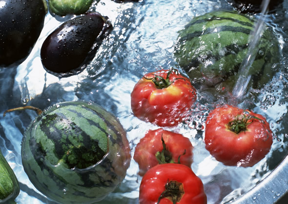 ʳƷƯ�ױ���